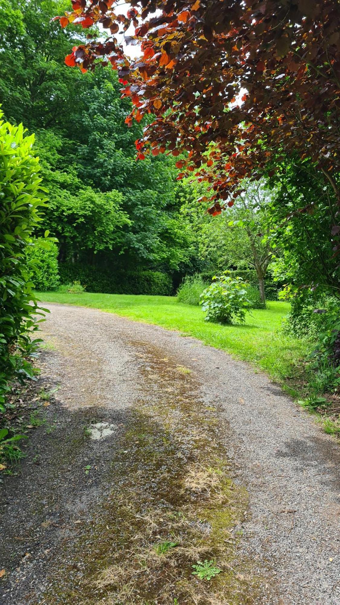 La Taniere Gueures